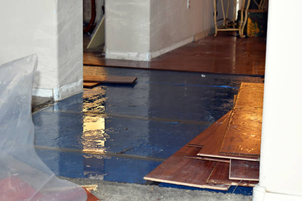Professional Burst Pipe Cleanup technician working in Franklin, PA